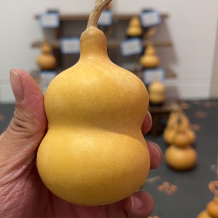 葫芦葫芦葫芦葫芦葫芦