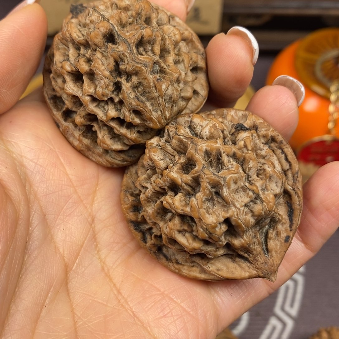 董*刀秦岭南风的故事和我