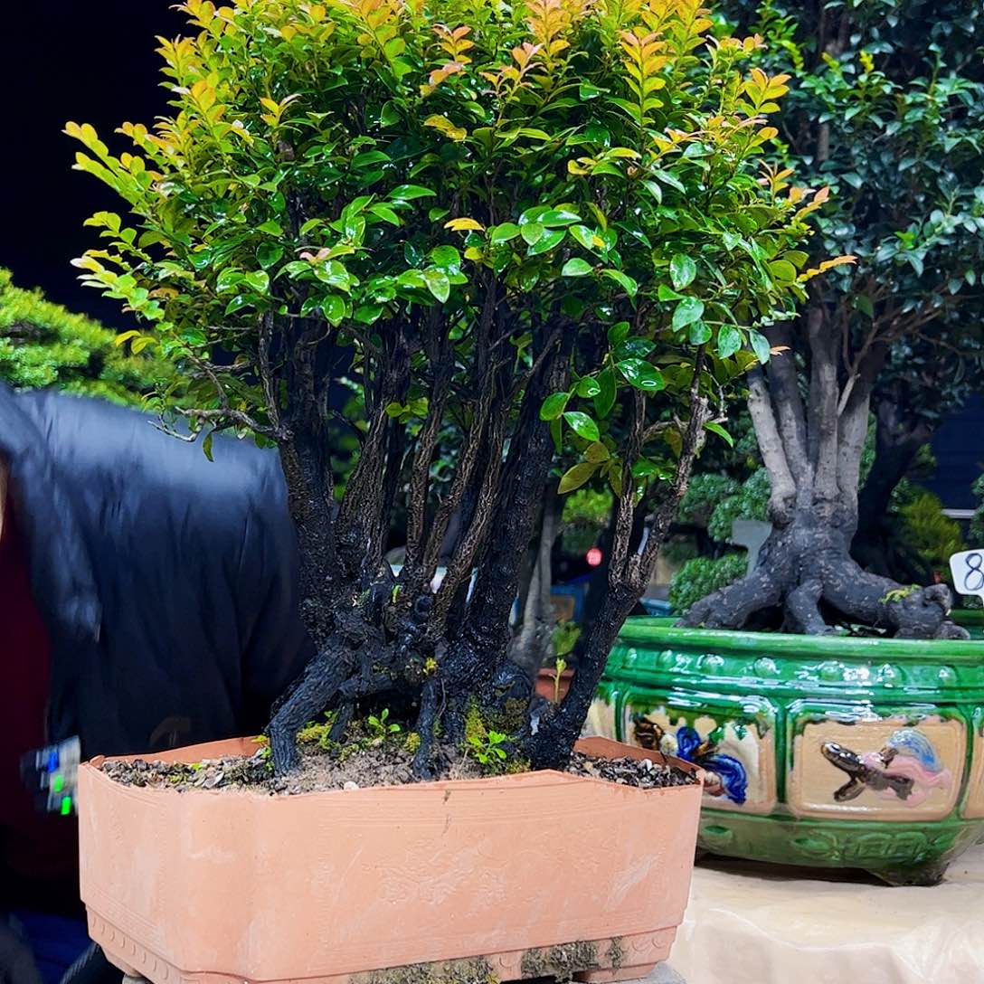 以实际为准有***?12345678