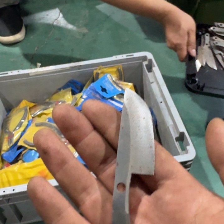 小鱼头 没把手一把