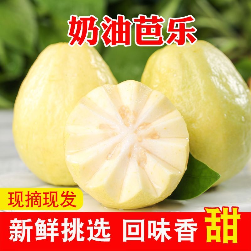 正宗白心芭乐水果奶油软心芭乐果新鲜精品番石榴广西当季水果