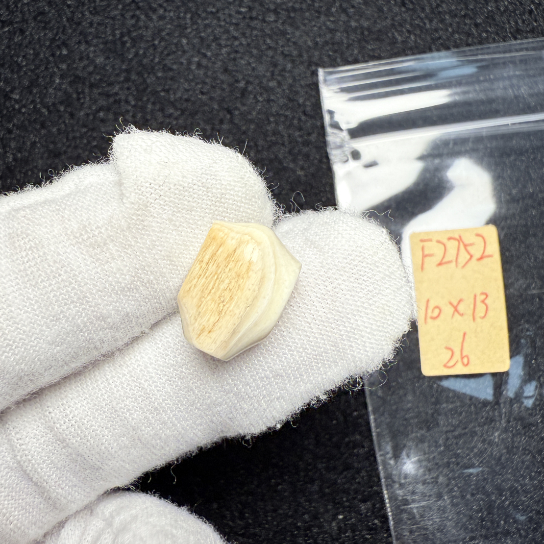 F2752猛犸象牙鲨鱼背一体三通10*13冰料果冻料