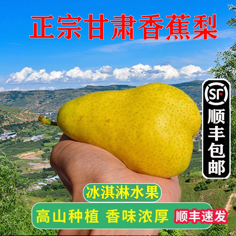 【顺丰偏远地区】甘肃香蕉梨正宗太婆梨子彩啤梨水果新鲜啤梨大头梨