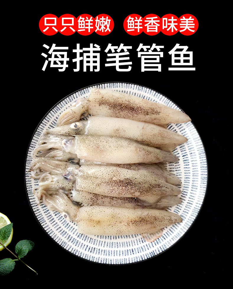 新鲜海捕公笔管鱼不含籽海兔子鱿鱼火锅食材顺丰冷链运输0000