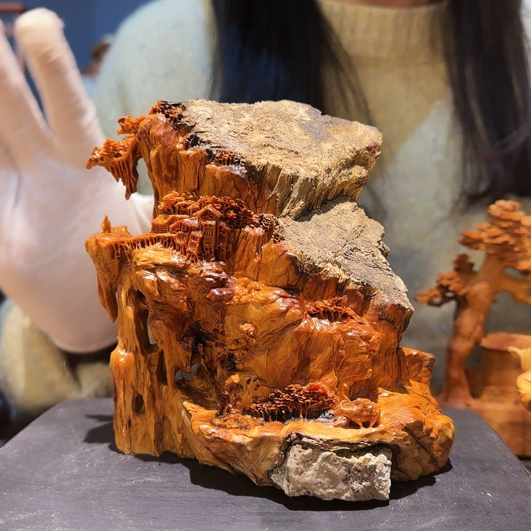 柏木（崖柏）太行集团