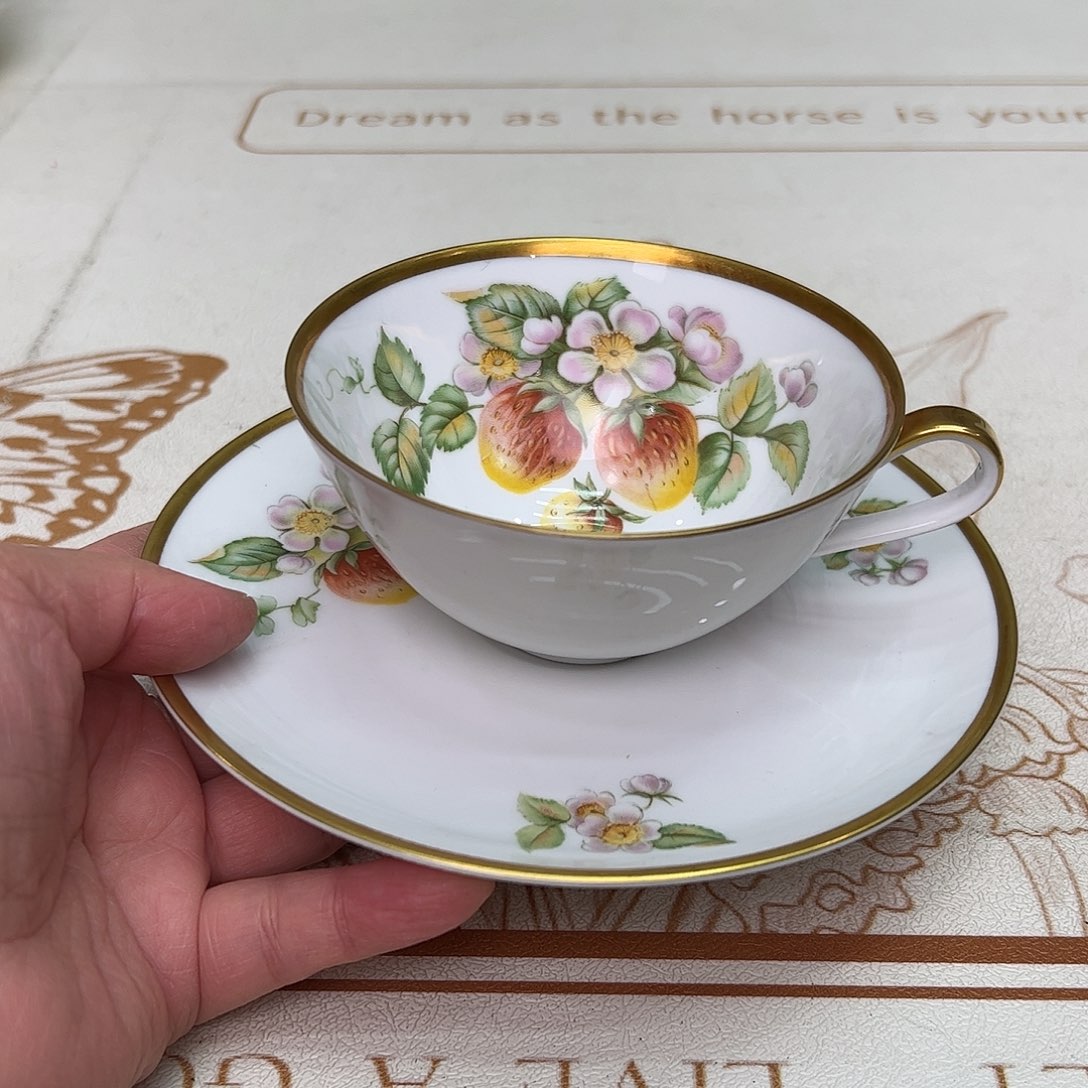 盘维多利亚欧洲中古