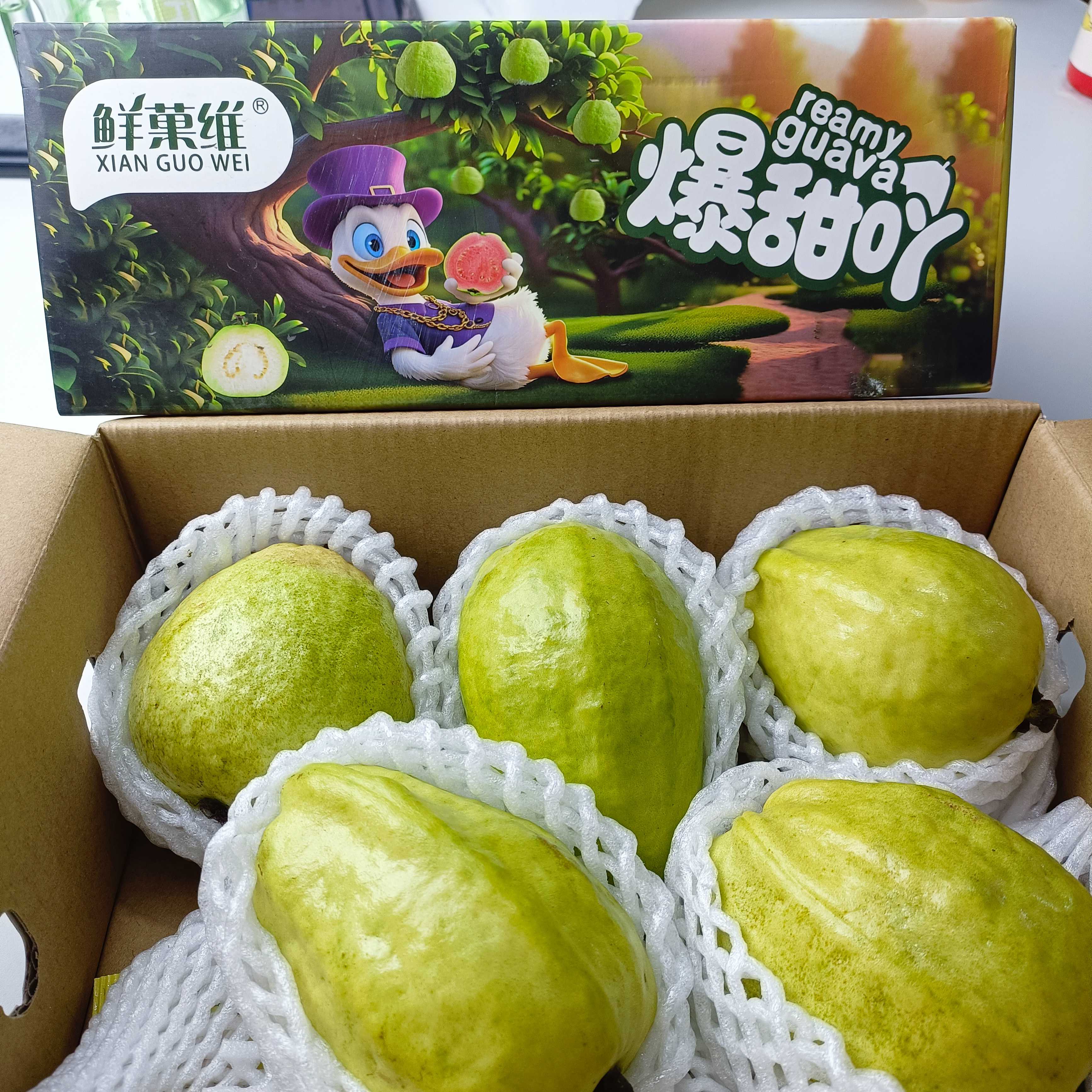 《礼盒》鲜果维芭乐（细腻丝滑）宁夏回族自治区