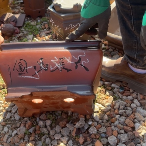 紫砂花盆紫砂花盆盆景盆栽