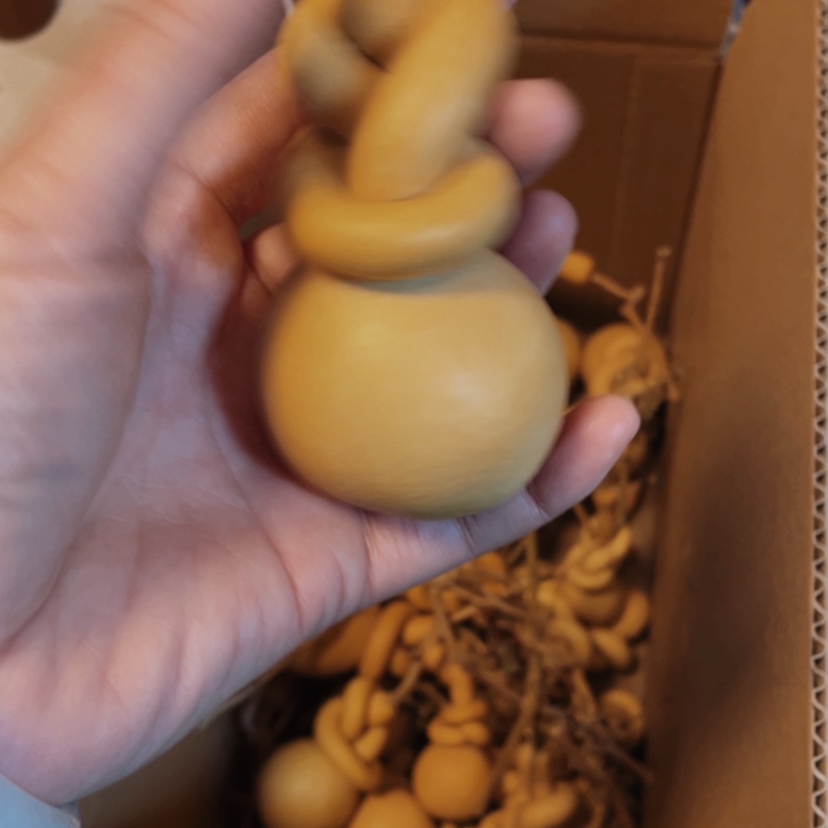 【闪购商品】木布****想葫芦
