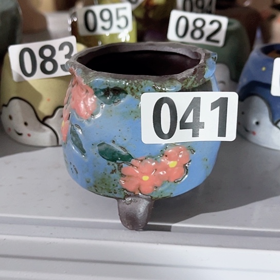 多肉植物花盆花盆