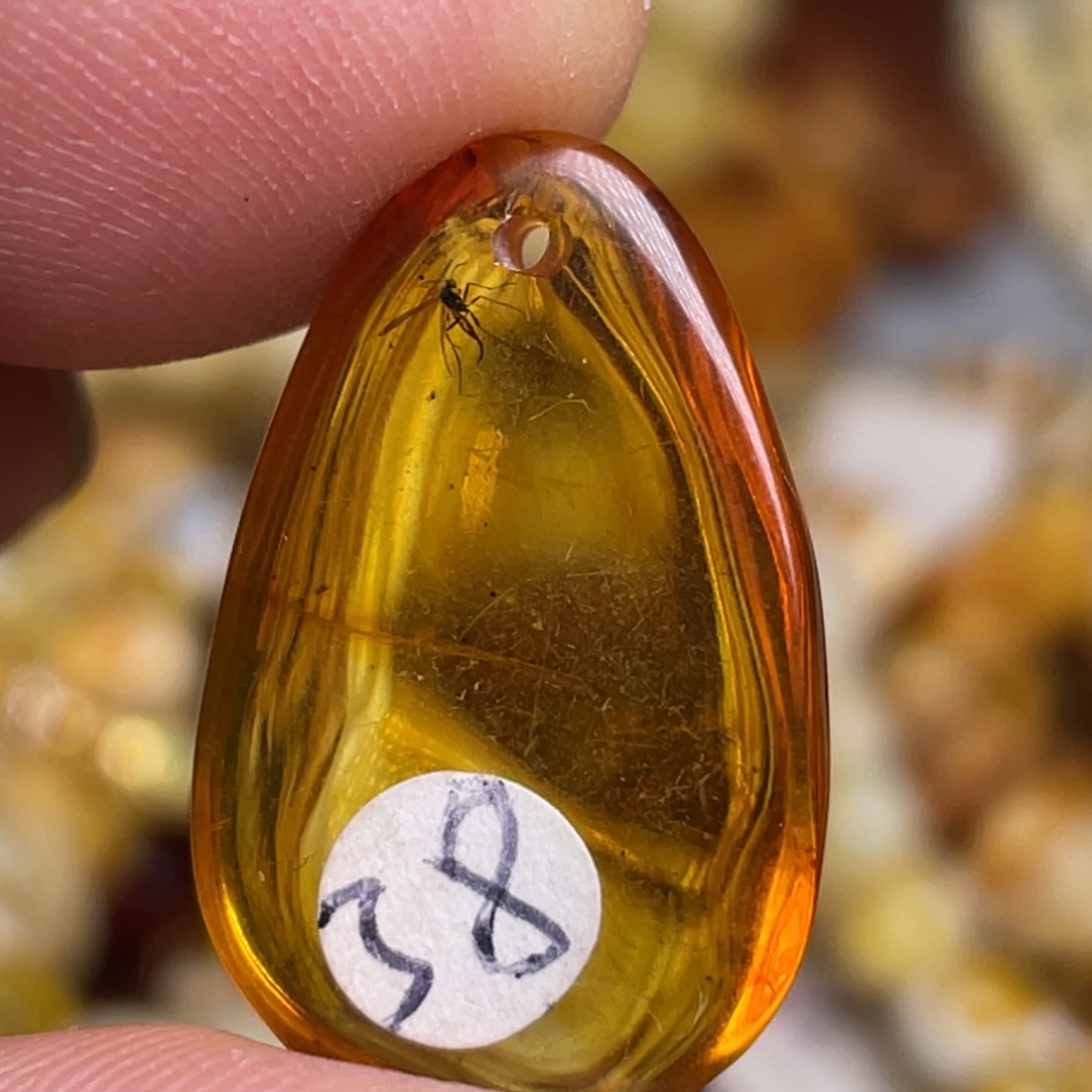 虫珀颈饰未镶嵌蜜蜡手机链