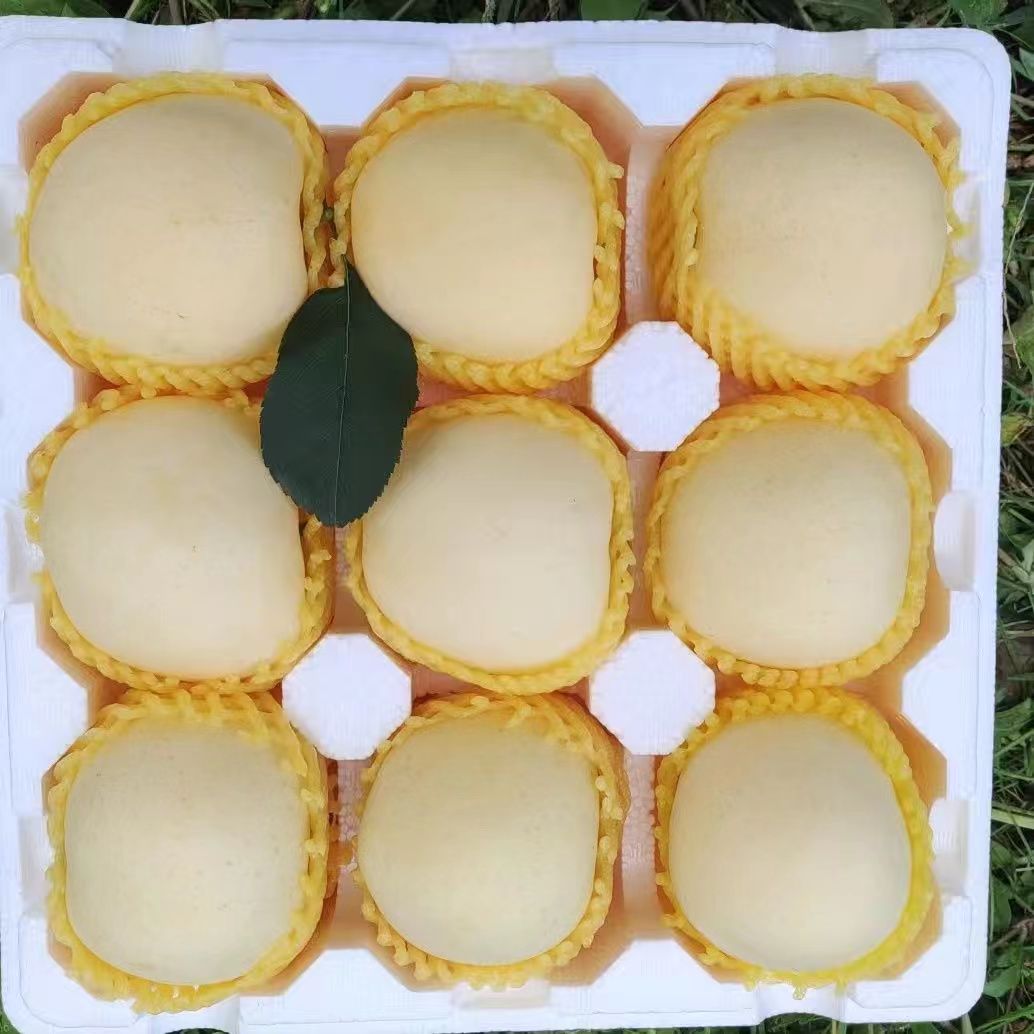 【烟台奶油苹果】正宗奶油富士脆甜多汁营养奶脆香甜整箱3/4.5斤ZB1