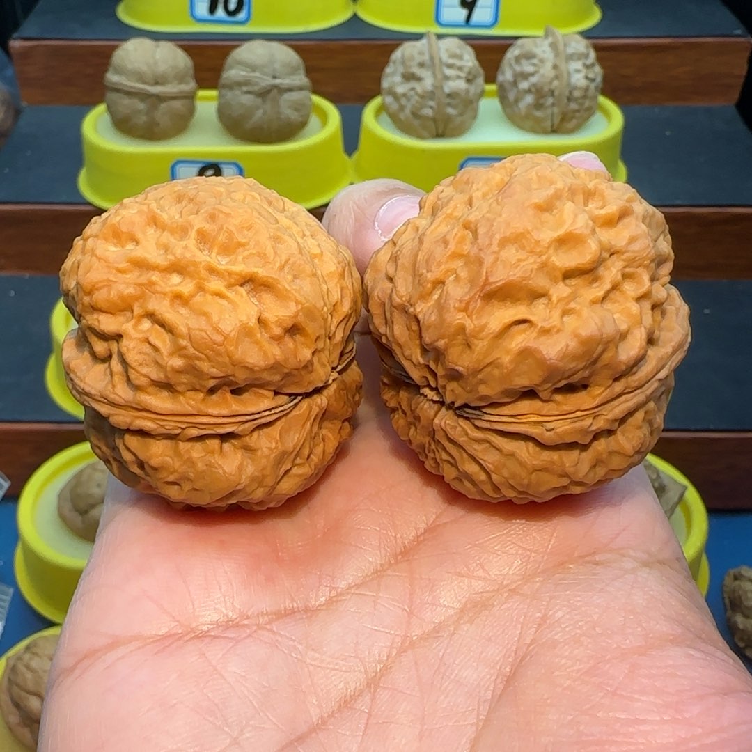 ✎***✘把件桃核蟾王核桃