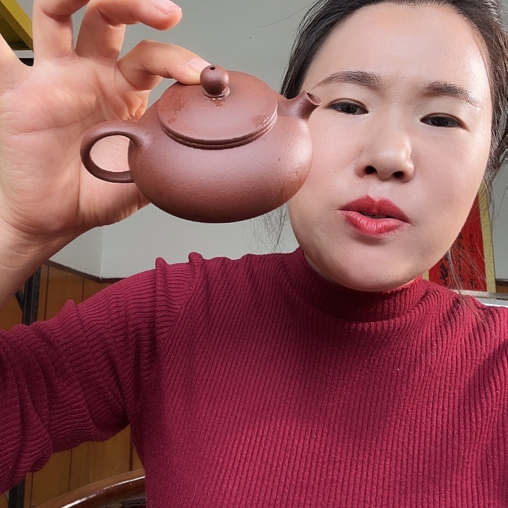 紫砂茶壶紫泥寒江150cc