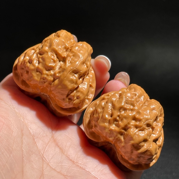 编号1000精品配对41金蟾蛤蟆头开背蛙可直接上手盘玩