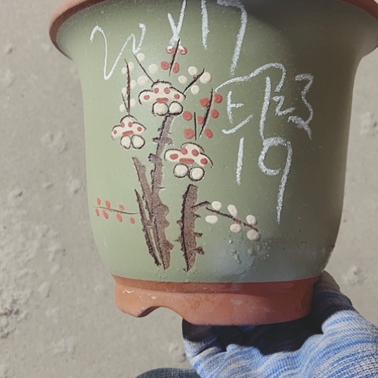 红陶紫砂这种紫砂