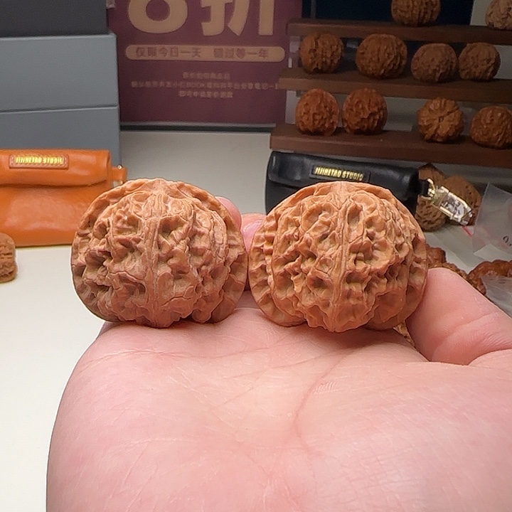 B43号矮桩球苹果44-42-37