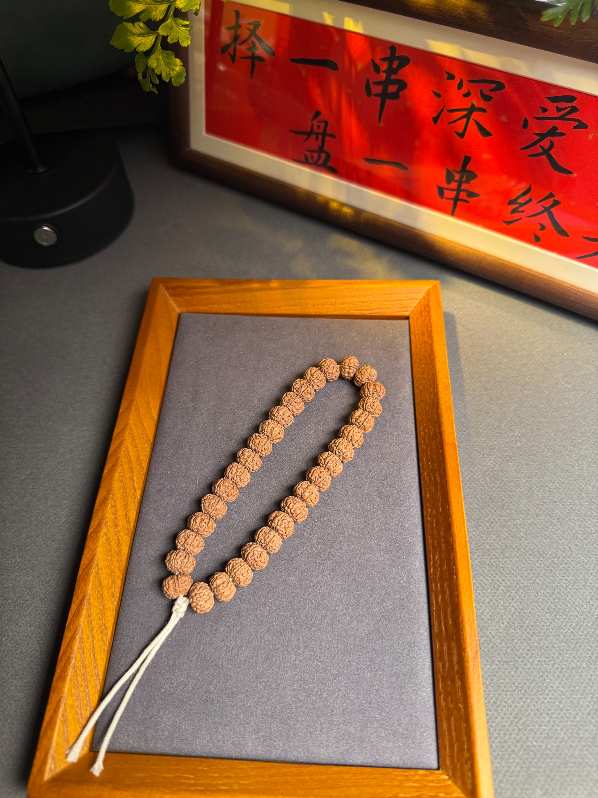 小金刚六瓣树王10