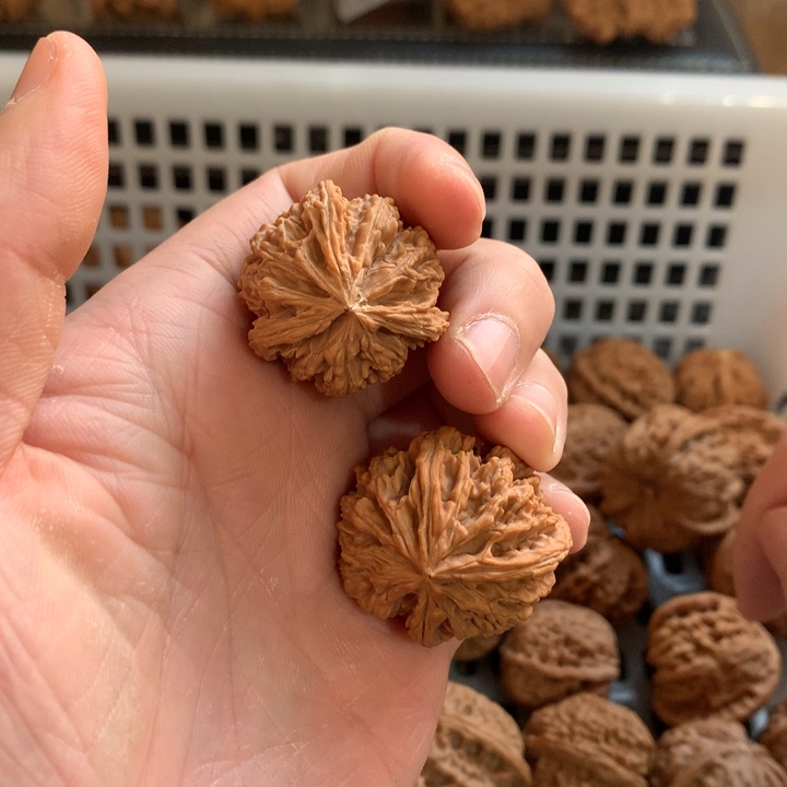 D***n把件文玩核桃苹果