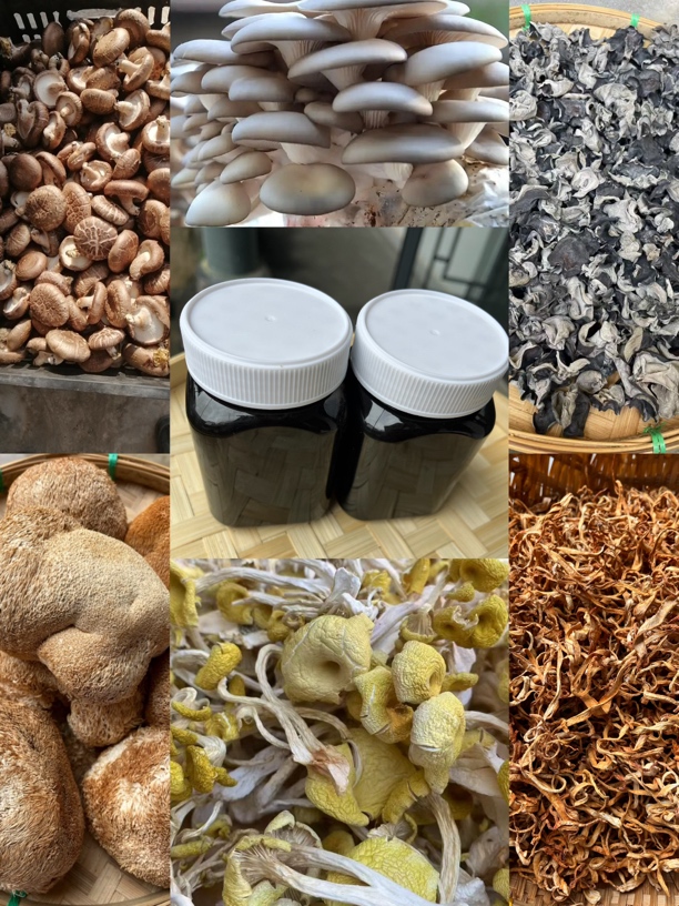 《阿浩收土特产》風 秘500克