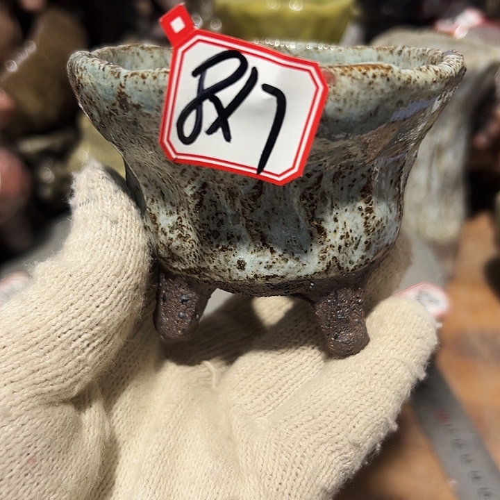 粗陶花盆制作就这样了，现在