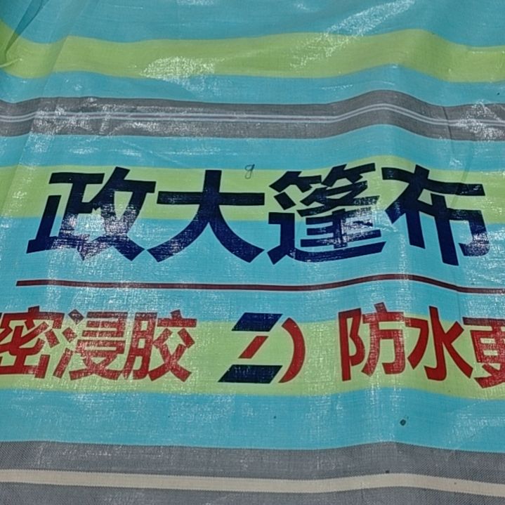 绒质866545566568688686