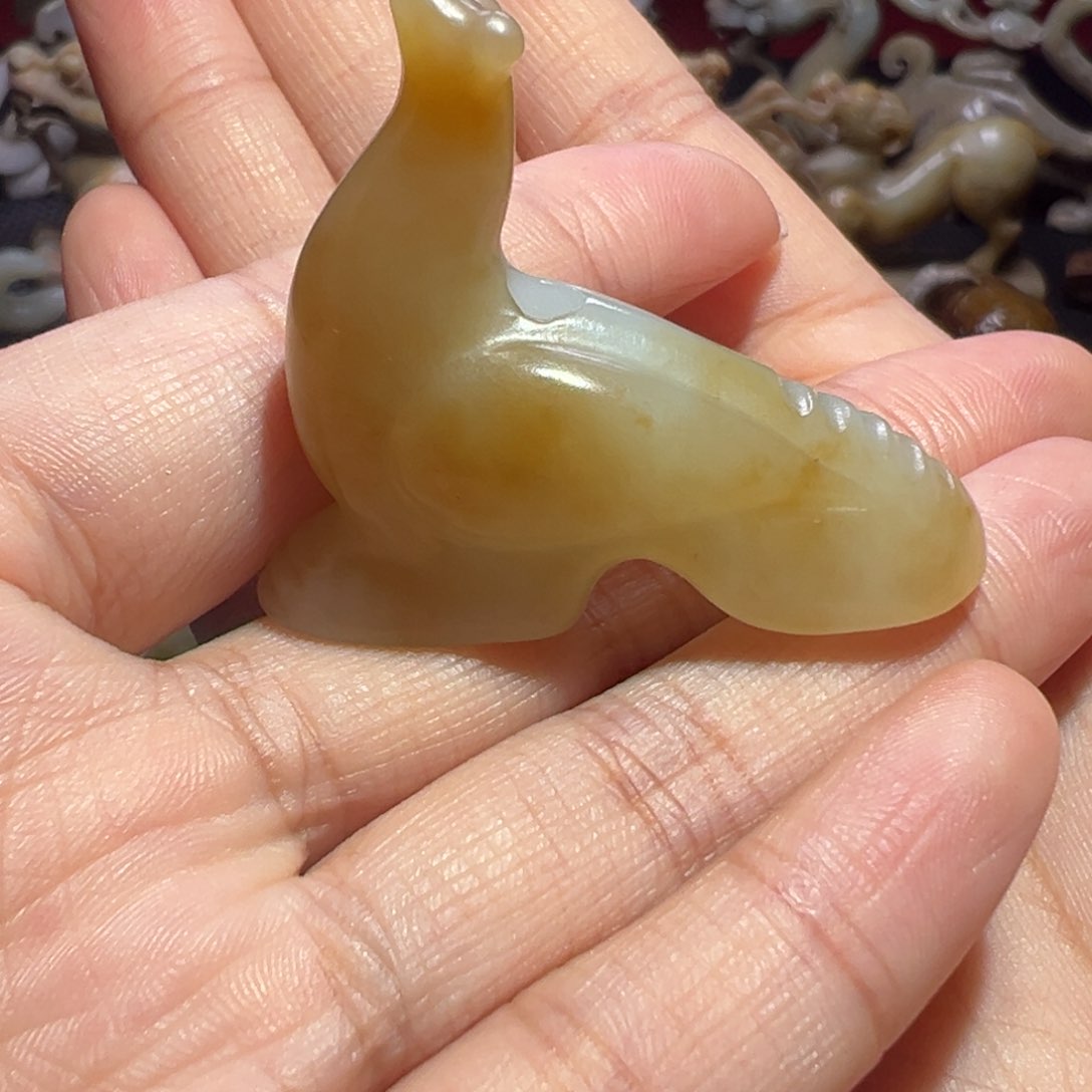 盘七天鉴赏期 一物一图