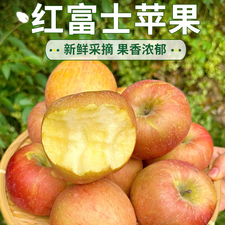 寻鲜君山西运城红富士糖心苹果新鲜水果现发当季多汁脆甜丑苹果
