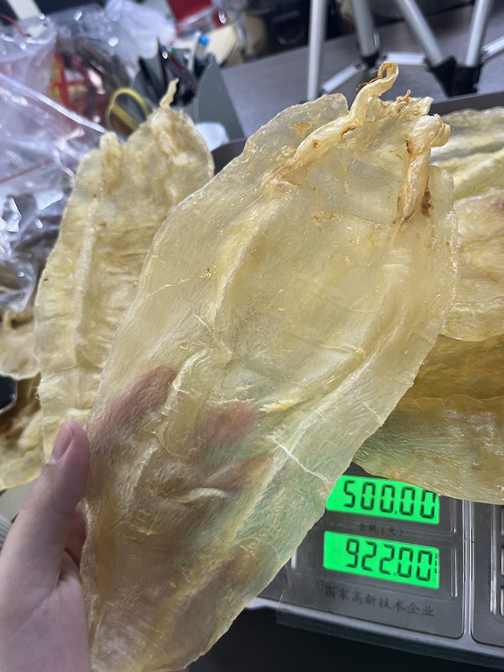 小老板的正品原装货5头老货苏母花胶北海母鳘鱼胶海味干货