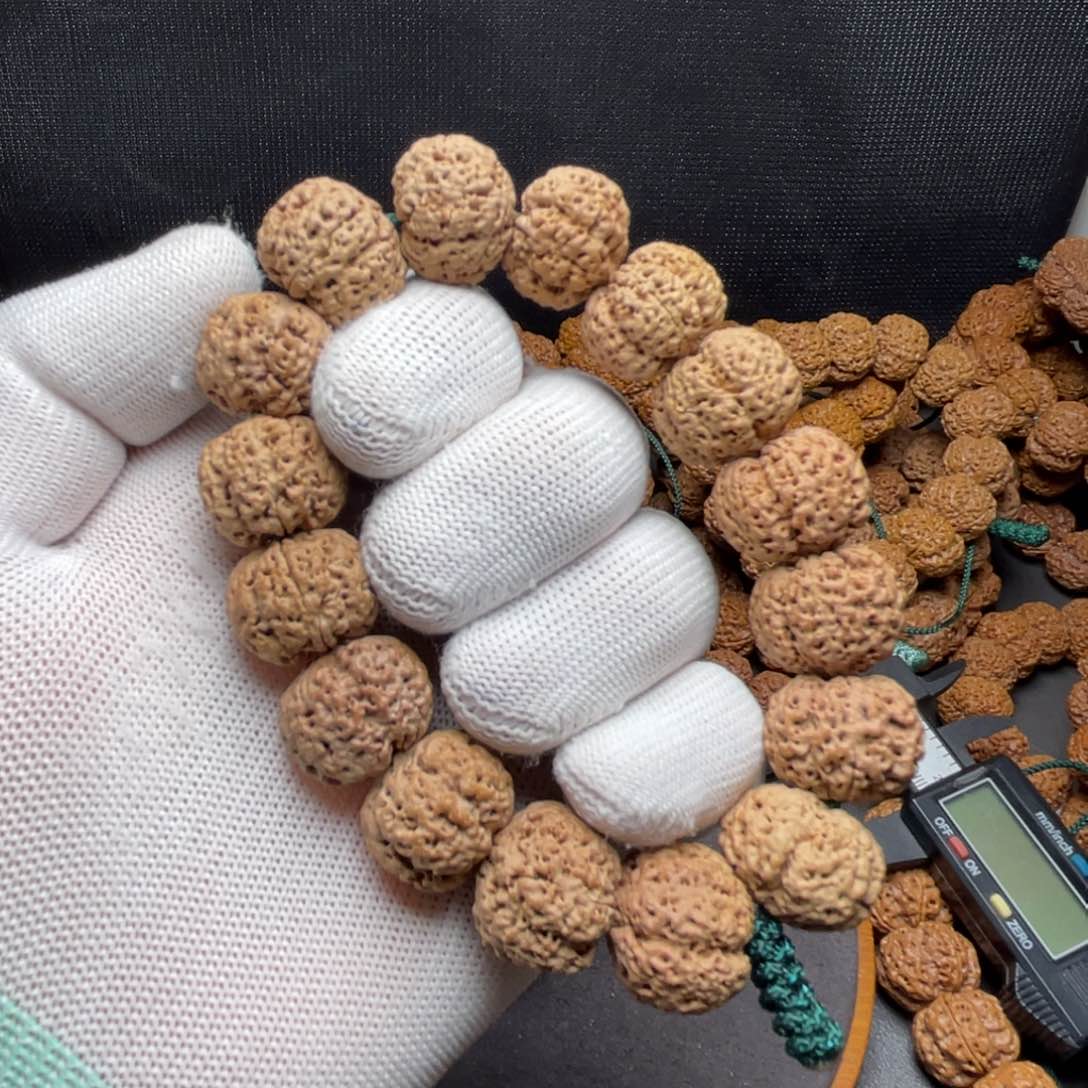 金刚菩提手串?梁产区针孔五星蜂窝梅花双龙20左右