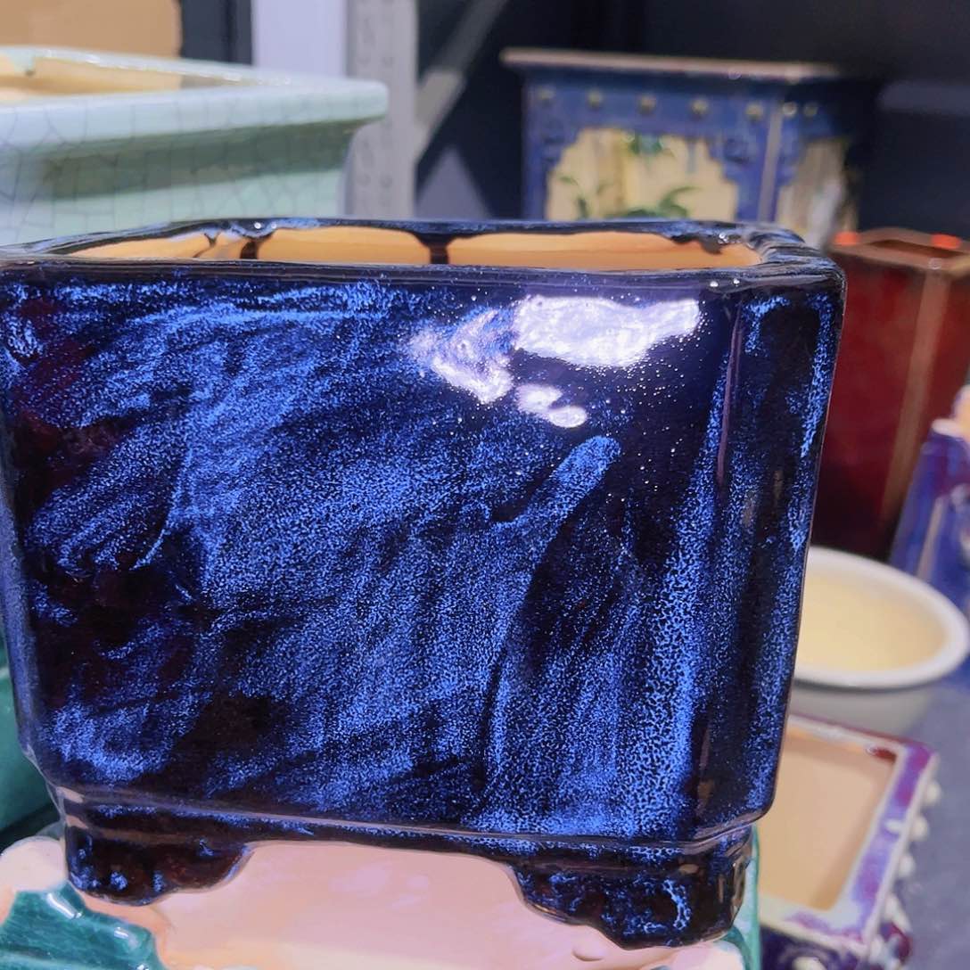 红陶今天仓播一件不留！！!