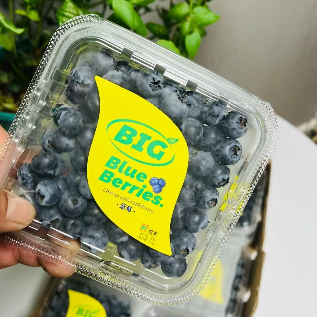 绘农蓝莓12mm，纯甜小糖豆适合大把吃，一盒125g北京市