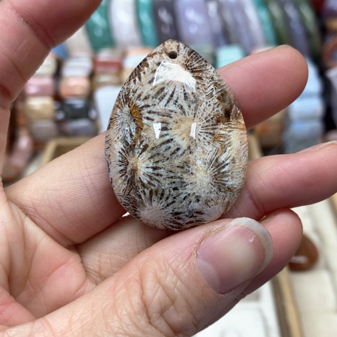 硅化珊瑚（珊瑚玉）手链未镶嵌011