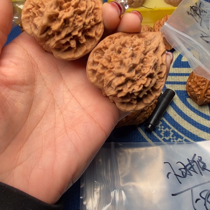小***玩桃核吊坠官帽核桃