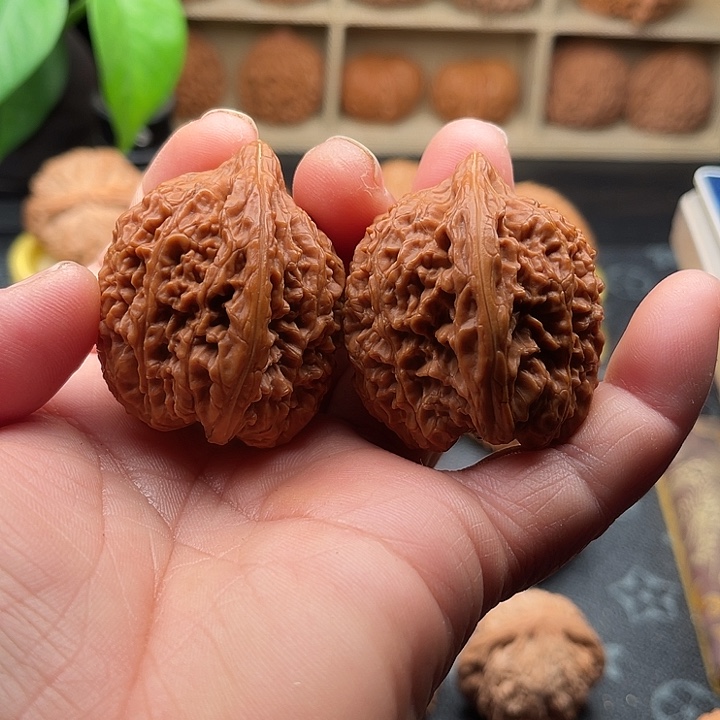 把件文玩核桃全品大蒜头边36肚39高39