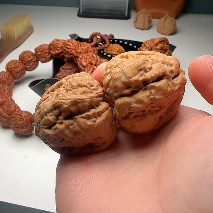 39-44-37蛙蟾型好开背2号