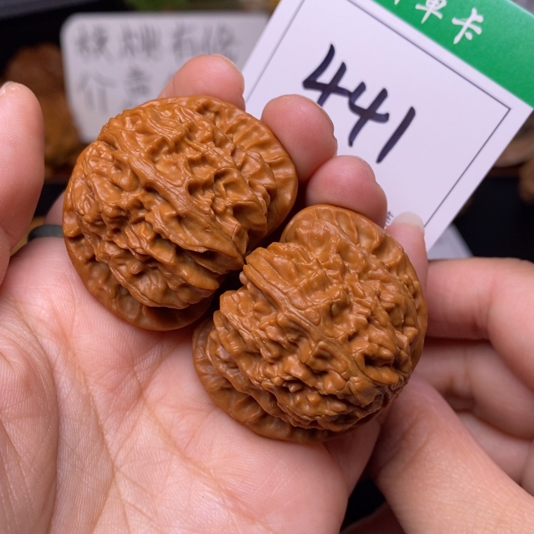 把件文玩核桃441白狮子4.1
