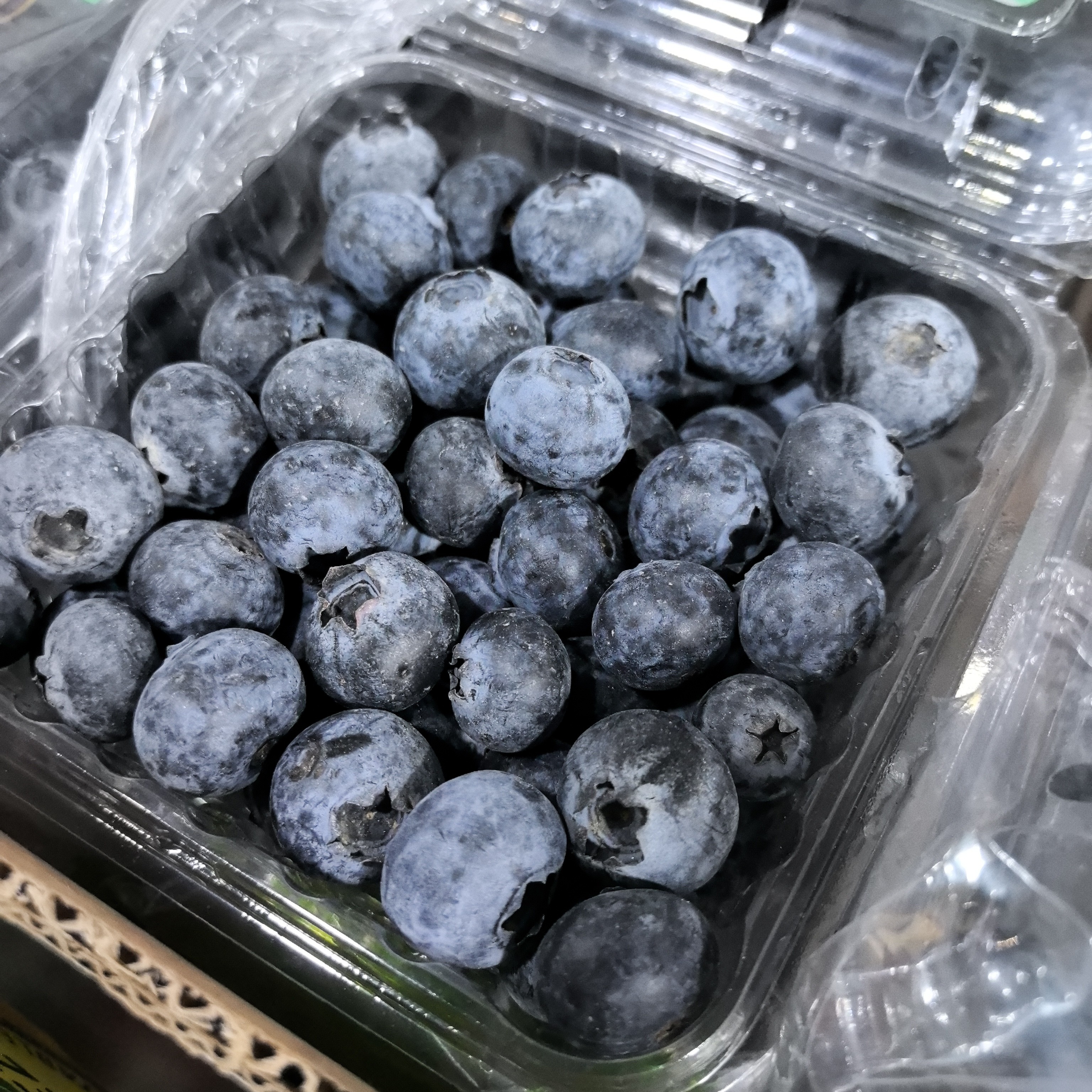 进口蓝莓*1盒（125g）14mm～18mn