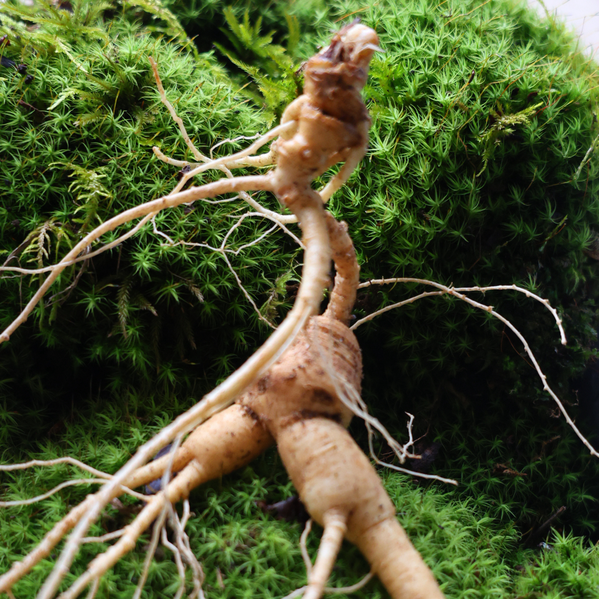 直播间改价链接一物一拍截图