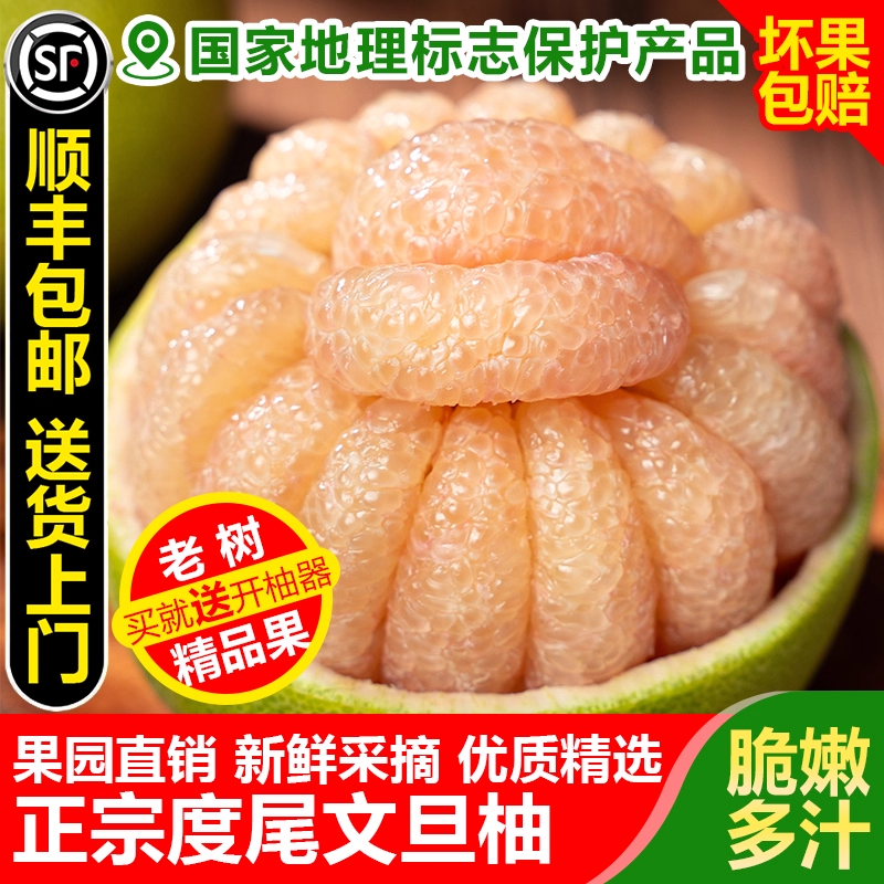 度尾文旦柚红心白心蜜柚福建仙游柚子新鲜应季孕妇水果酸甜多汁