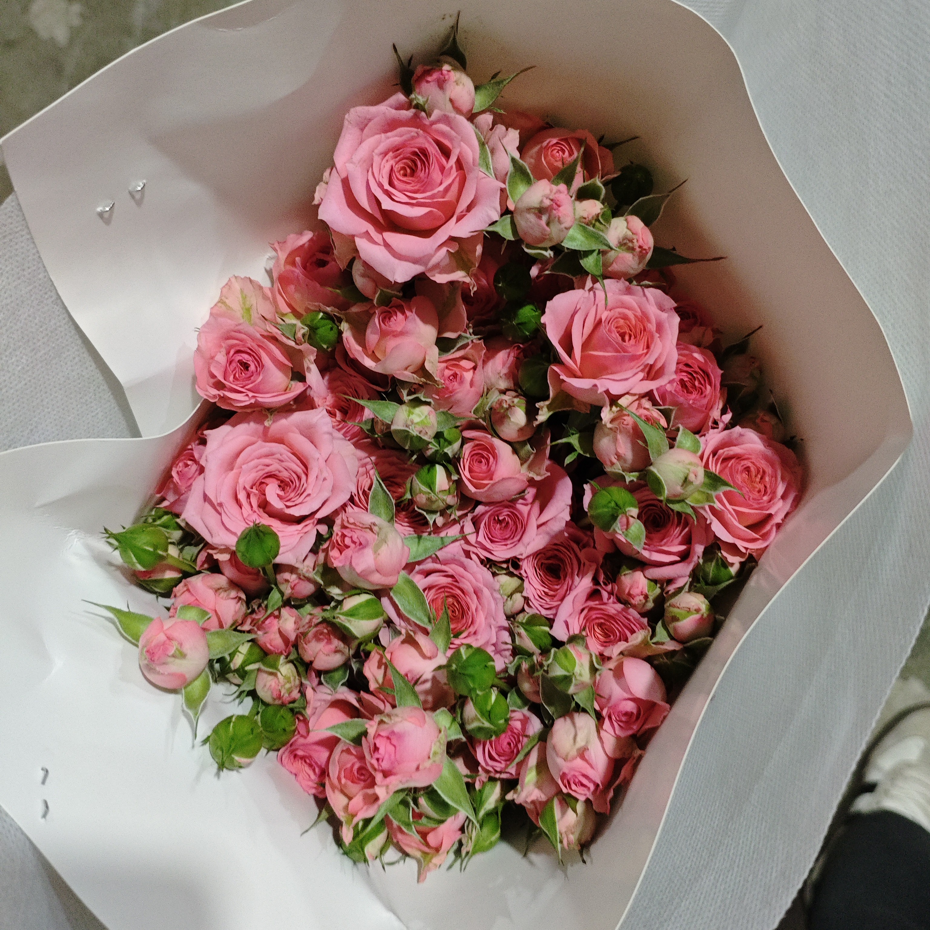 【多复色】玫瑰家用鲜花/花束 云南鲜花基地直发