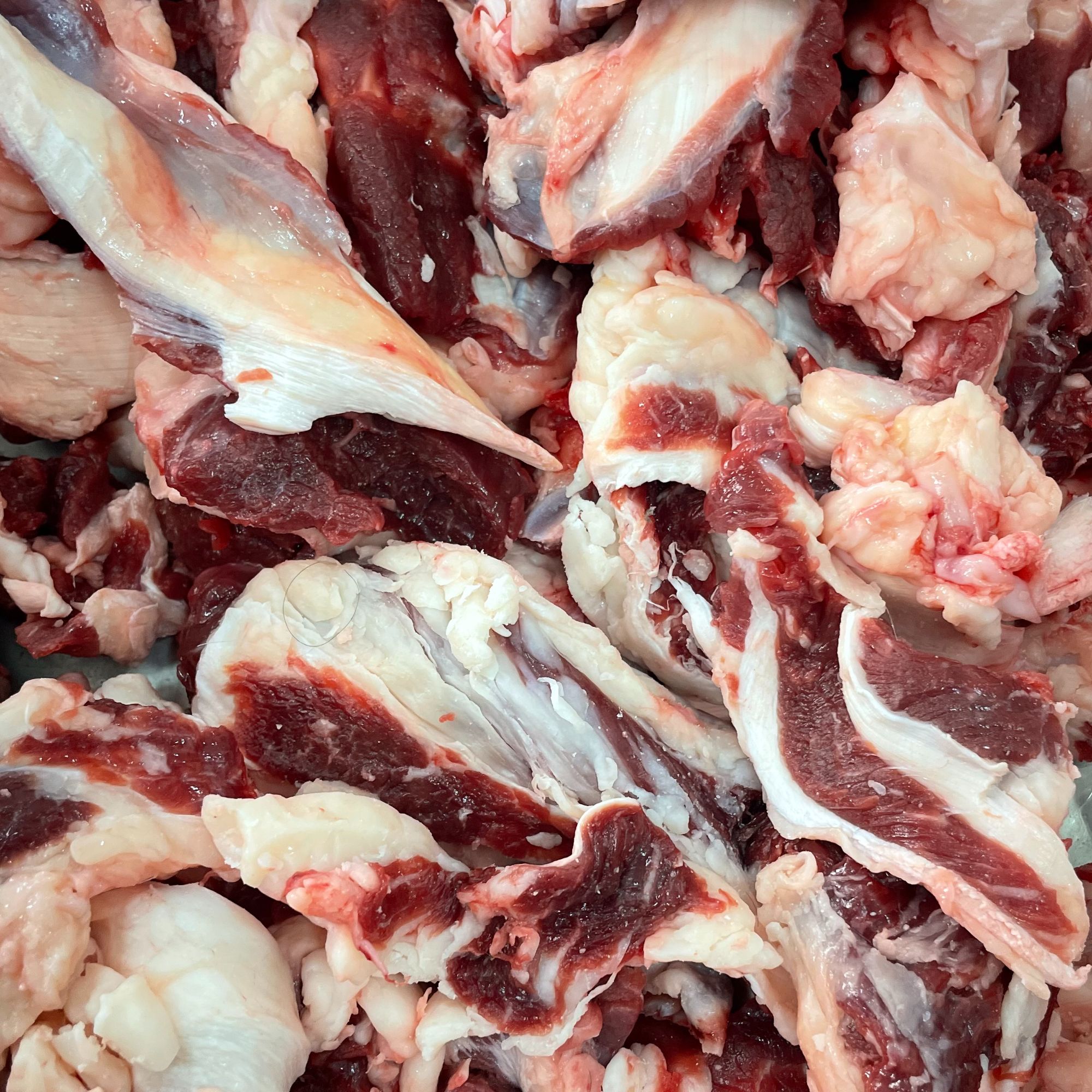 牧小佳齐齐哈尔牛肉牛小肉