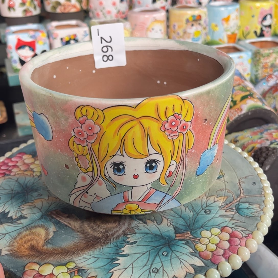 灵***灵268多肉花盆50元1个