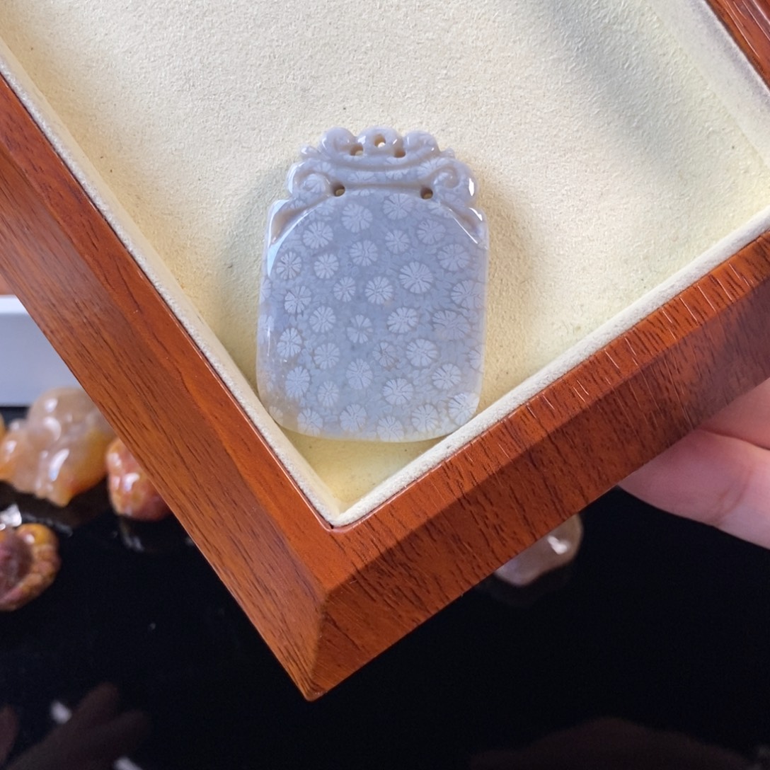 硅化珊瑚（珊瑚玉）未镶嵌颈饰66