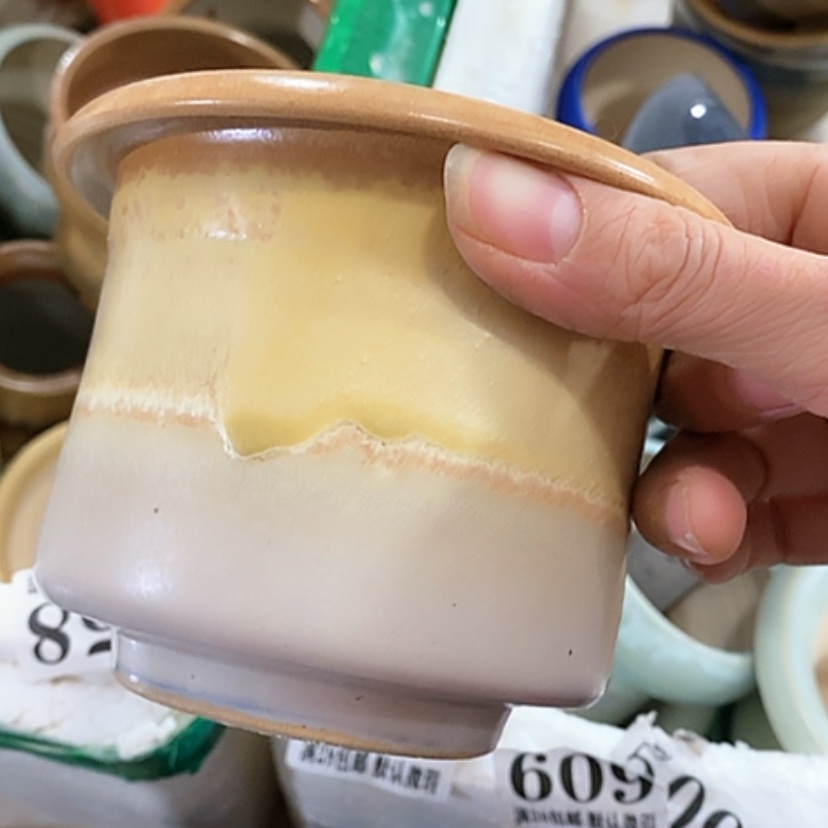 【闪购商品】红陶口9.5