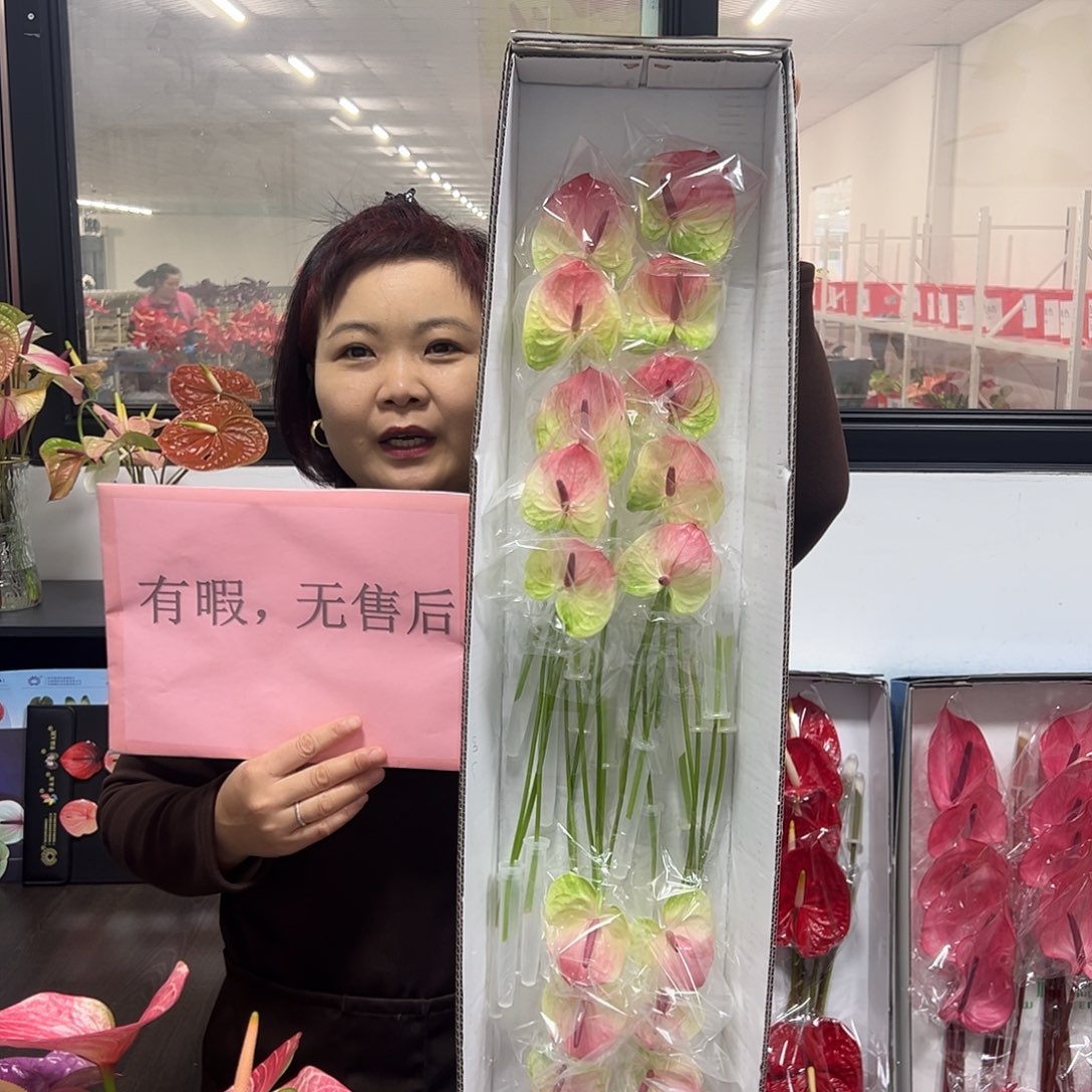 完全开放塞菲拉-20枝装无售后款！