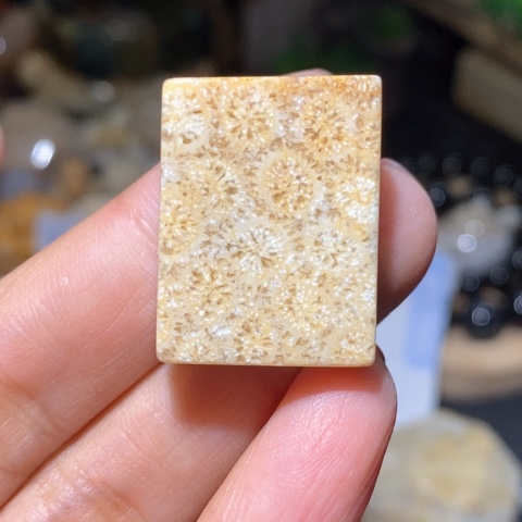 【闪购商品】硅化玉吊坠(不含链)未镶嵌