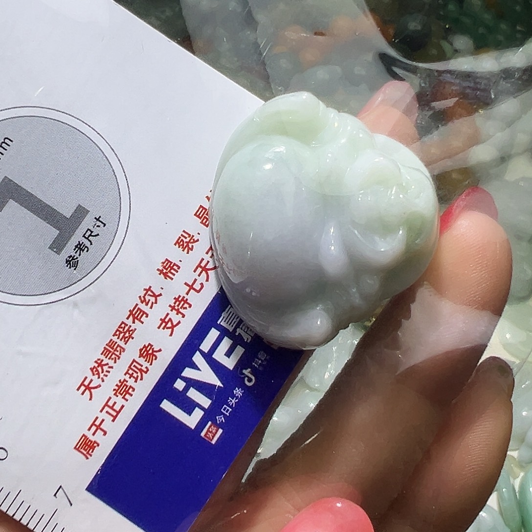 翡翠未镶嵌颈饰富贵