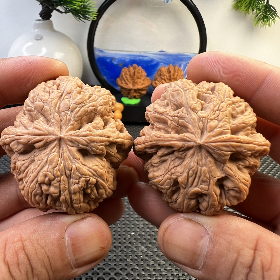 文玩核桃全品球筋46尺寸