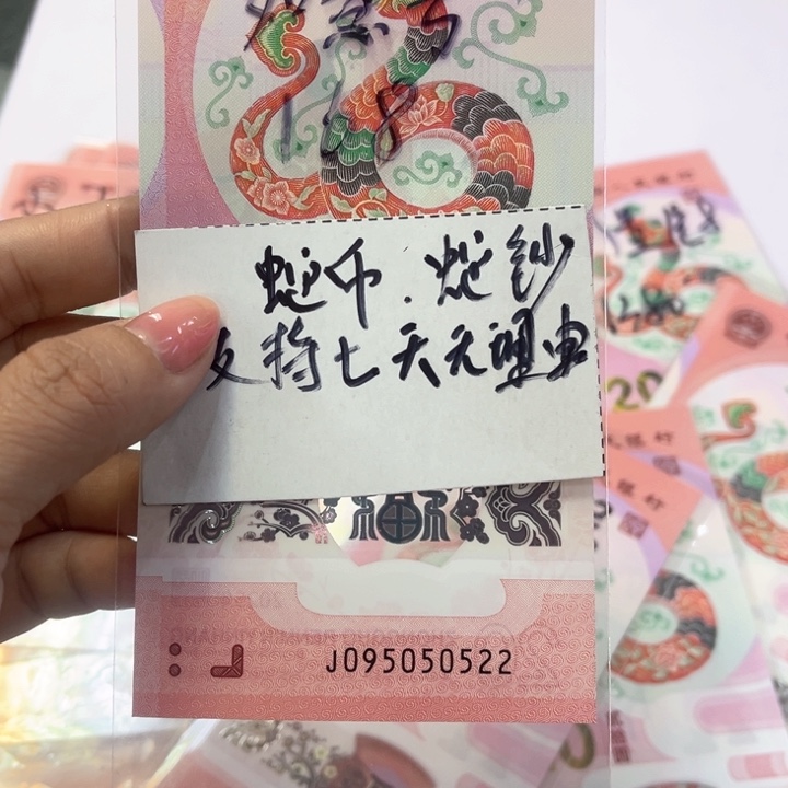 塑料095050522如意号九五至尊头